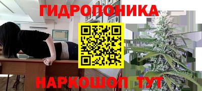 хмурый Чебоксары
