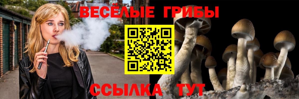 Галлюциногенные грибы Psilocybe Кыштым