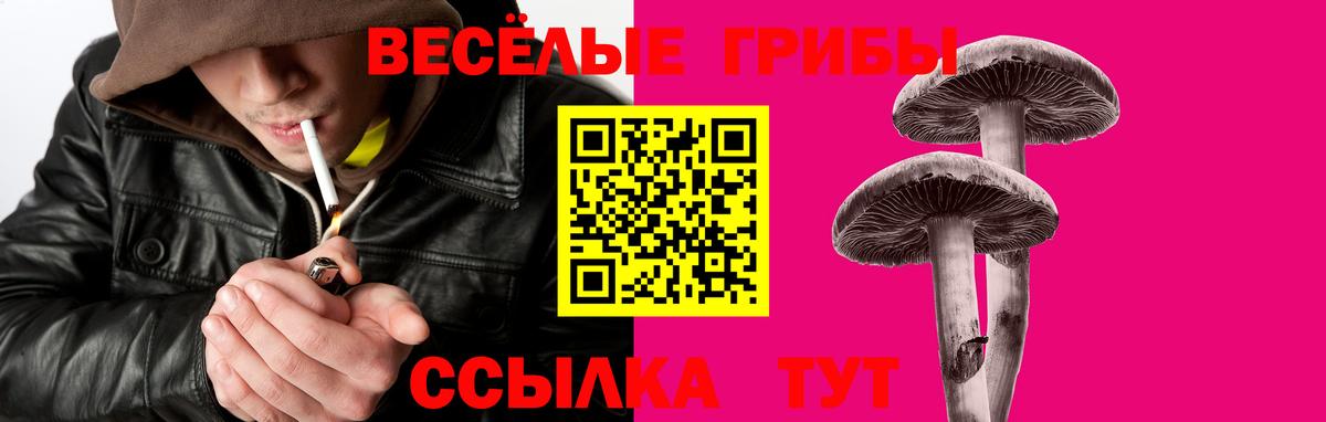 Галлюциногенные грибы прущие грибы  Вход с VPN  Кыштым  Псилоцибиновые грибы Psilocybine cubensis 