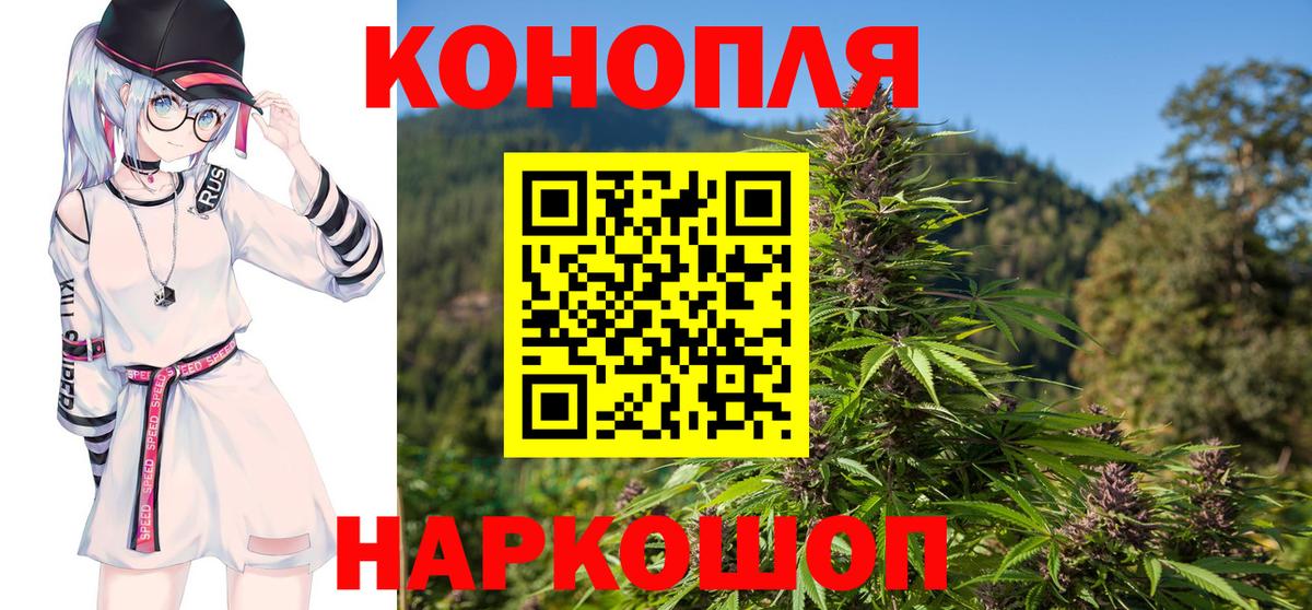 Бошки Шишки семена Кыштым